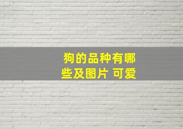 狗的品种有哪些及图片 可爱